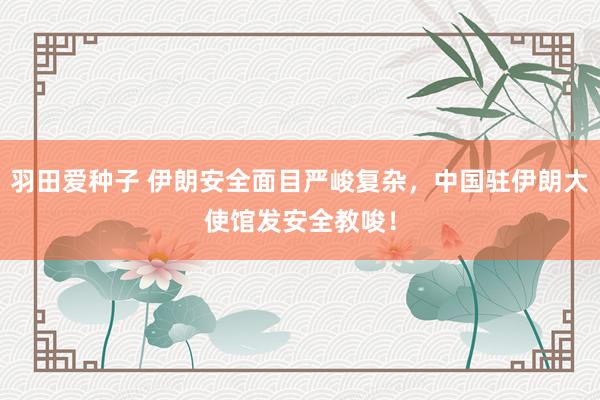 羽田爱种子 伊朗安全面目严峻复杂，中国驻伊朗大使馆发安全教唆！