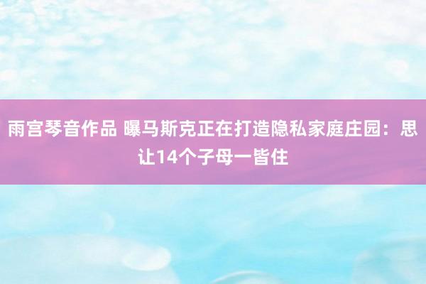 雨宫琴音作品 曝马斯克正在打造隐私家庭庄园：思让14个子母一皆住