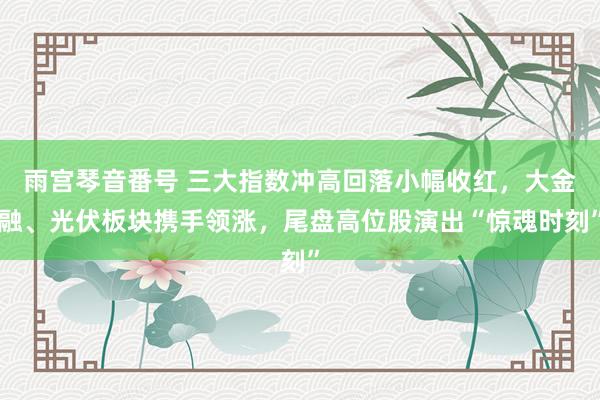 雨宫琴音番号 三大指数冲高回落小幅收红，大金融、光伏板块携手领涨，尾盘高位股演出“惊魂时刻”