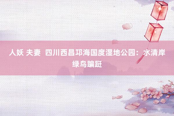 人妖 夫妻  四川西昌邛海国度湿地公园：水清岸绿鸟蹁跹