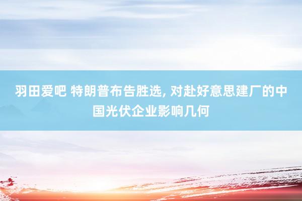 羽田爱吧 特朗普布告胜选， 对赴好意思建厂的中国光伏企业影响几何