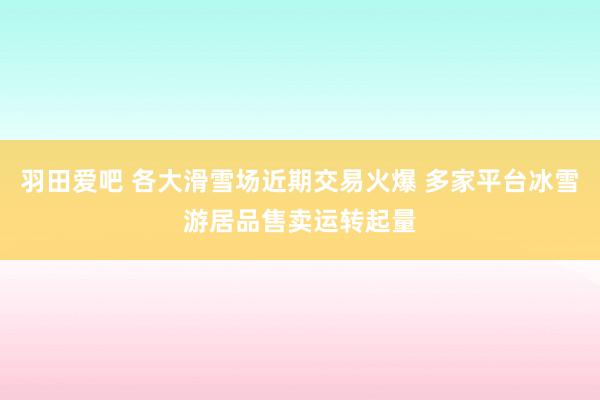 羽田爱吧 各大滑雪场近期交易火爆 多家平台冰雪游居品售卖运转起量
