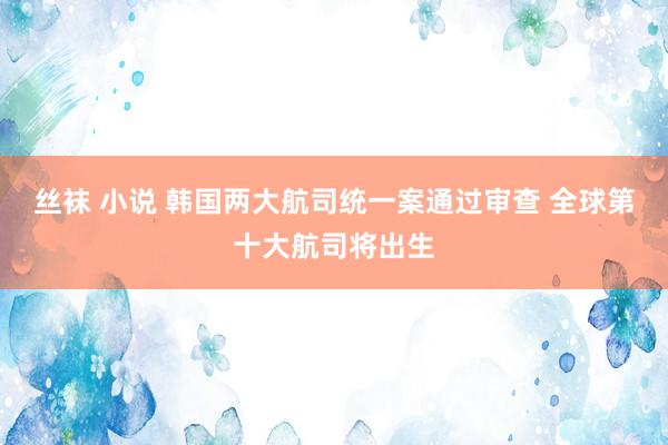 丝袜 小说 韩国两大航司统一案通过审查 全球第十大航司将出生