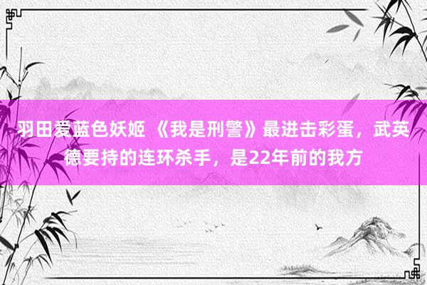 羽田爱蓝色妖姬 《我是刑警》最进击彩蛋，武英德要持的连环杀手，是22年前的我方