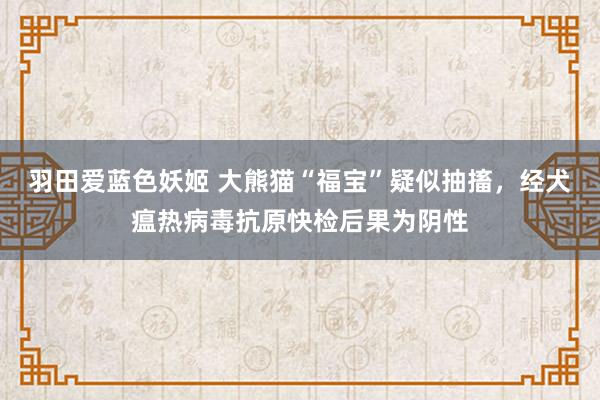 羽田爱蓝色妖姬 大熊猫“福宝”疑似抽搐，经犬瘟热病毒抗原快检后果为阴性