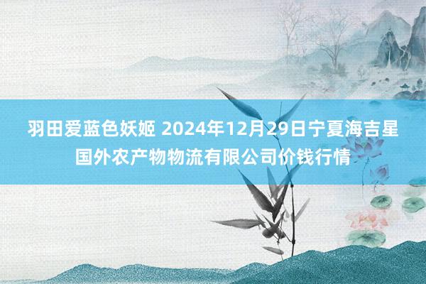 羽田爱蓝色妖姬 2024年12月29日宁夏海吉星国外农产物物流有限公司价钱行情