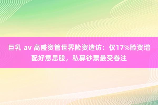 巨乳 av 高盛资管世界险资造访：仅17%险资增配好意思股，私募钞票最受眷注