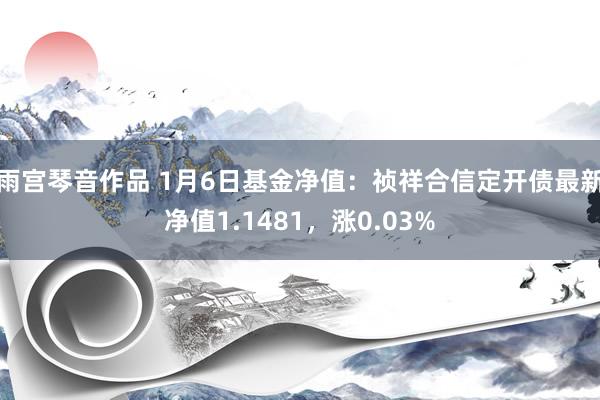雨宫琴音作品 1月6日基金净值：祯祥合信定开债最新净值1.1481，涨0.03%