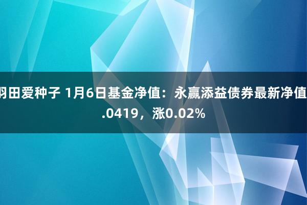 羽田爱种子 1月6日基金净值：永赢添益债券最新净值1.0419，涨0.02%