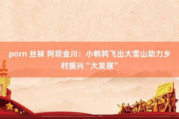 porn 丝袜 阿坝金川：小鹌鹑飞出大雪山助力乡村振兴“大发展”