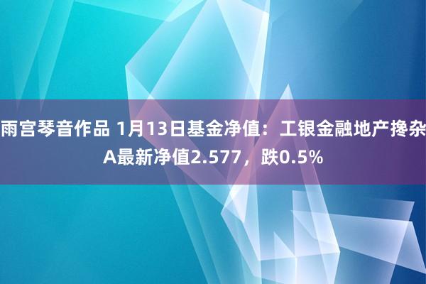 雨宫琴音作品 1月13日基金净值：工银金融地产搀杂A最新净值2.577，跌0.5%