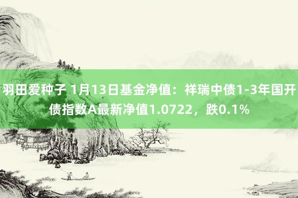 羽田爱种子 1月13日基金净值：祥瑞中债1-3年国开债指数A最新净值1.0722，跌0.1%