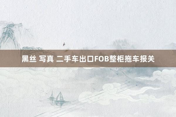 黑丝 写真 二手车出口FOB整柜拖车报关