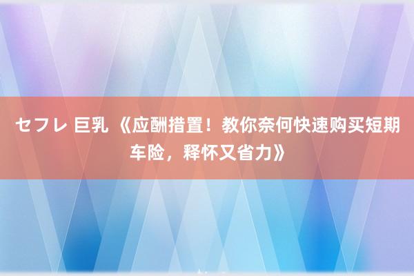 セフレ 巨乳 《应酬措置！教你奈何快速购买短期车险，释怀又省力》