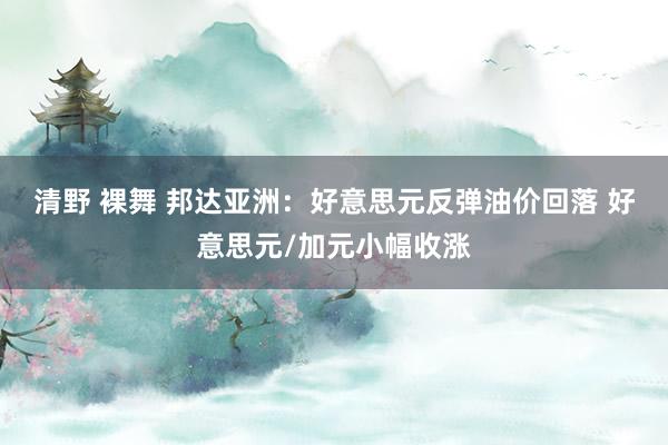 清野 裸舞 邦达亚洲：好意思元反弹油价回落 好意思元/加元小幅收涨