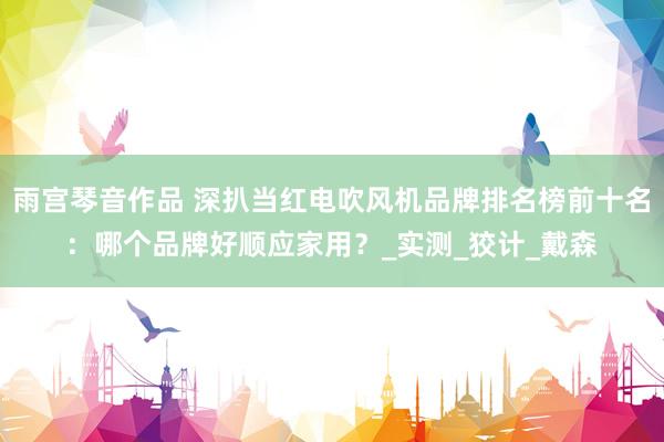 雨宫琴音作品 深扒当红电吹风机品牌排名榜前十名：哪个品牌好顺应家用？_实测_狡计_戴森