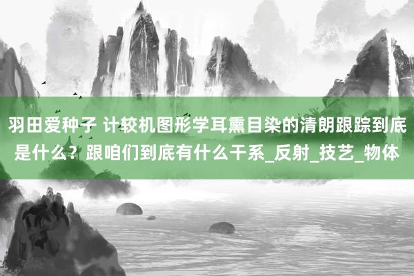 羽田爱种子 计较机图形学耳熏目染的清朗跟踪到底是什么？跟咱们到底有什么干系_反射_技艺_物体