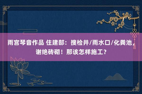 雨宫琴音作品 住建部：搜检井/雨水口/化粪池，谢绝砖砌！那该怎样施工？
