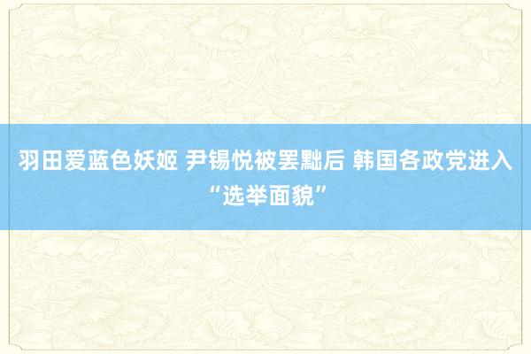 羽田爱蓝色妖姬 尹锡悦被罢黜后 韩国各政党进入“选举面貌”