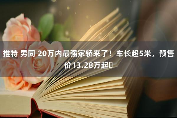 推特 男同 20万内最强家轿来了！车长超5米，预售价13.28万起​